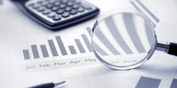 Division of Internal Audits